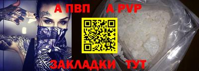 твердый Кингисепп