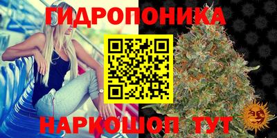 эйфоретик Кимры