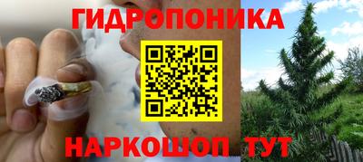 эйфоретик Кимры